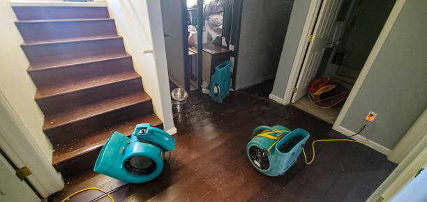 Best Carpet water damage restoration  in Amerin Nyon, CA