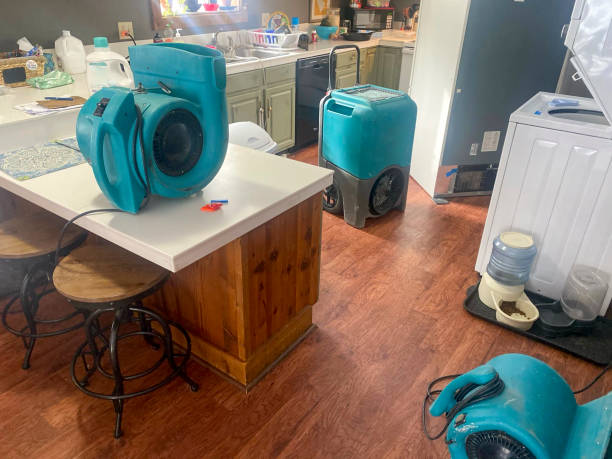 Best Water damage restoration near me  in Amerin Nyon, CA