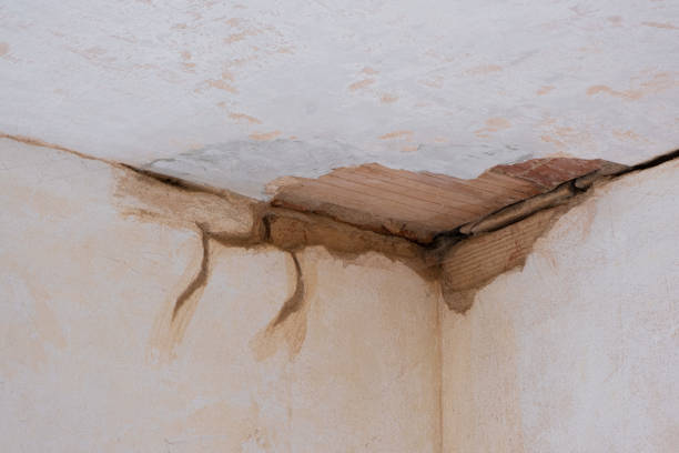 Best Water damage restoration insurance claims  in Amerin Nyon, CA
