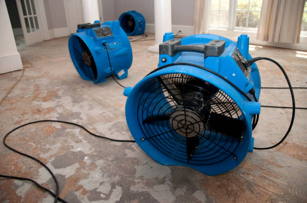 Best Professional water damage repair  in Amerin Nyon, CA