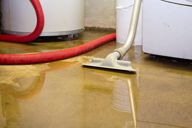 Best Residential water damage restoration  in Amerin Nyon, CA