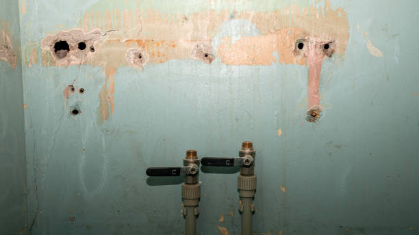 Best Water damage restoration process  in Amerin Nyon, CA