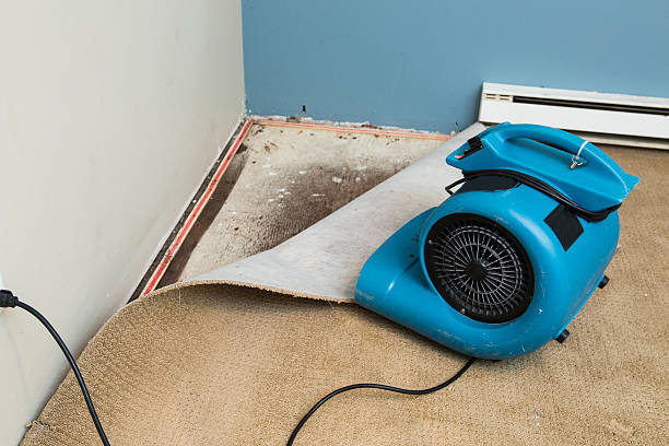 Best Carpet water damage restoration  in Amerin Nyon, CA